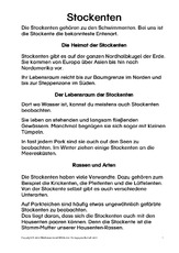 Stockente-Text-Präsentation-1-2-Seite-1-6.pdf